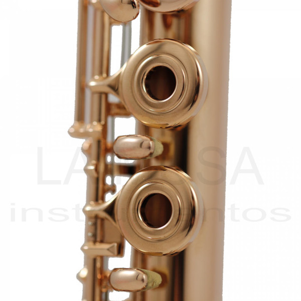 TREVOR JAMES Virtuoso 14K Flute